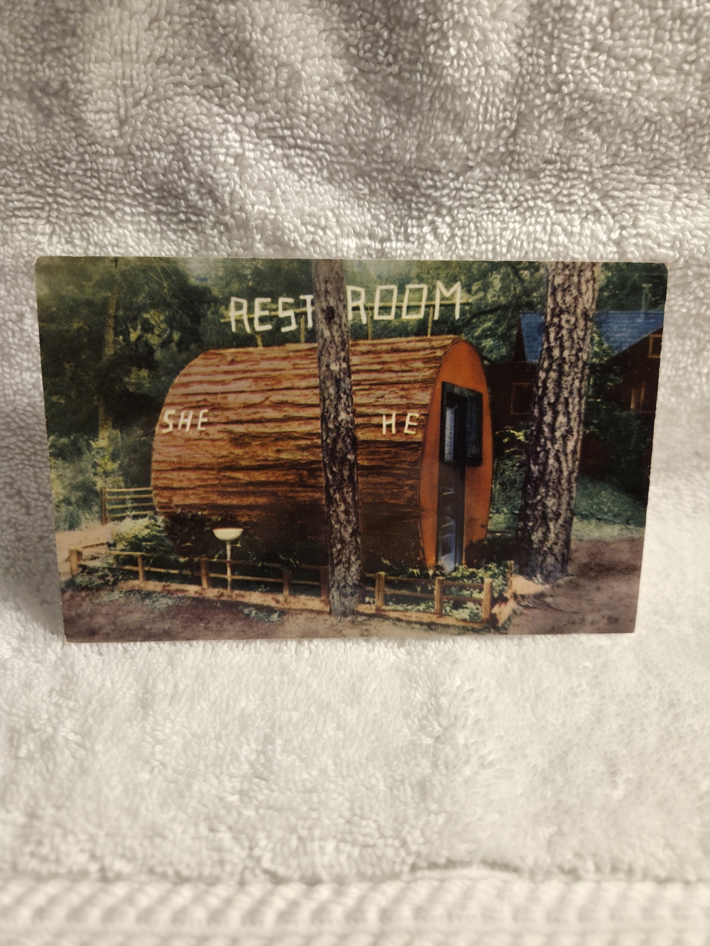 Vintage Rustic Restroom Cabin Wall Art - Brown